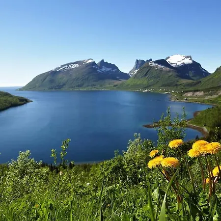 דירה Cozy Between Sea And Mountains Mefjordvær